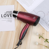 Household Hair Dryer